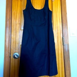 JCrew Navy Dress